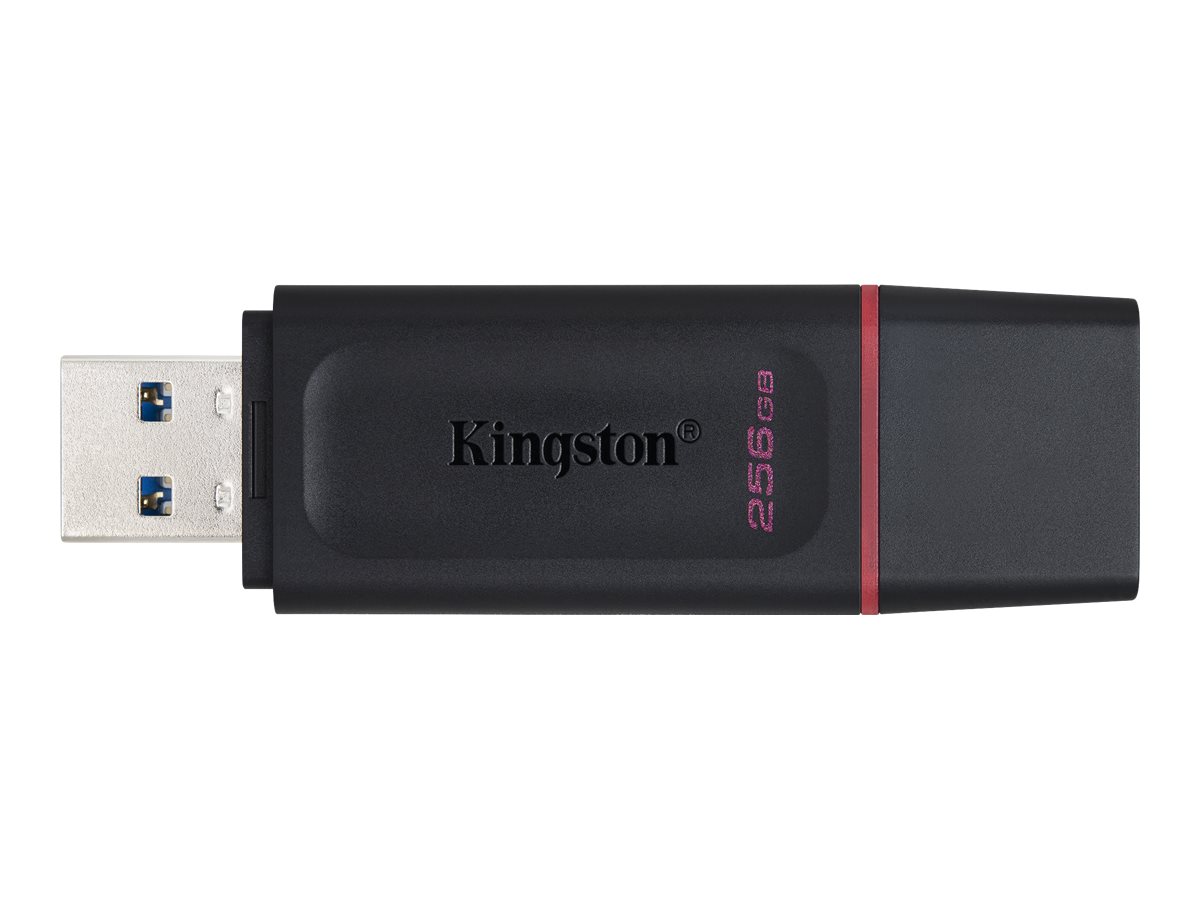 Kingston DataTraveler Exodia - Unidad flash USB - 256 GB - USB 3.2 Gen 1 - negro/rosa