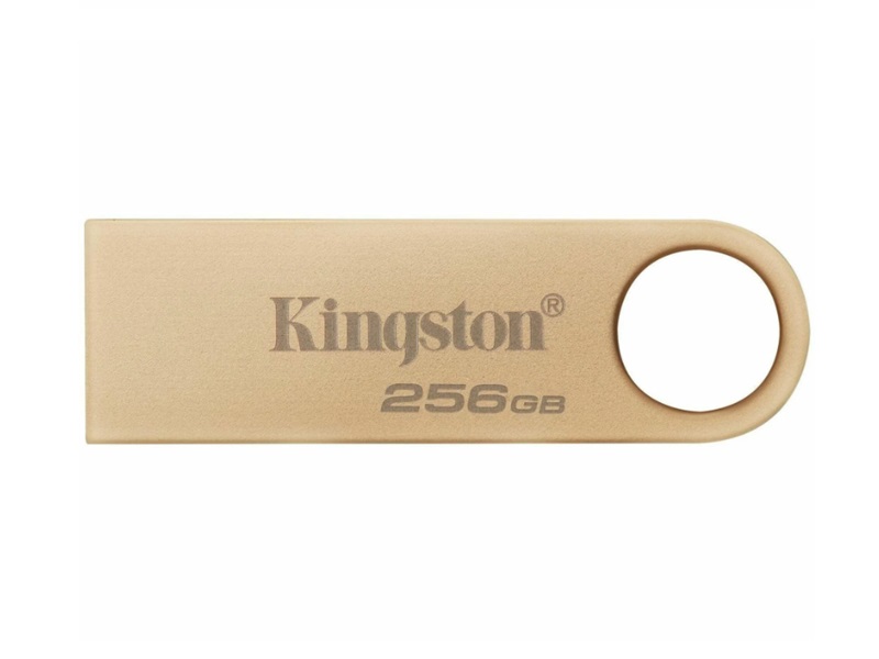 Memoria USB Kingston DataTraveler SE9 G3 256 GB USB 3.2 Gen 1