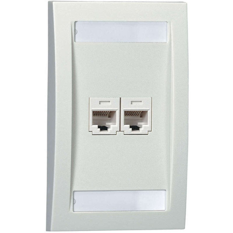 PANDUIT PLACA FRONTAL MINICOM, 2 PUERTOS, BLANCO HUESO