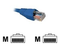 Nexxt - Cable de interconexión - RJ-45 (M) a RJ-45 (M) - 4.3 m - UTP - CAT 5e - moldeado, trenzado - azul