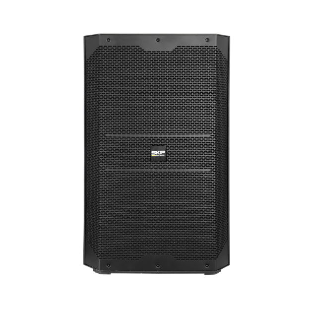 PARLANTE AMPLIFICADO 15 DX15 SKP