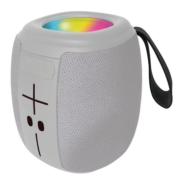 PARLANTE PORTATIL RECARGABLE CON LUZ 5W BT/FM/USB/AUX/TF-CARD 2HRS GRIS BC-AU-BS-225-GY BICONIC